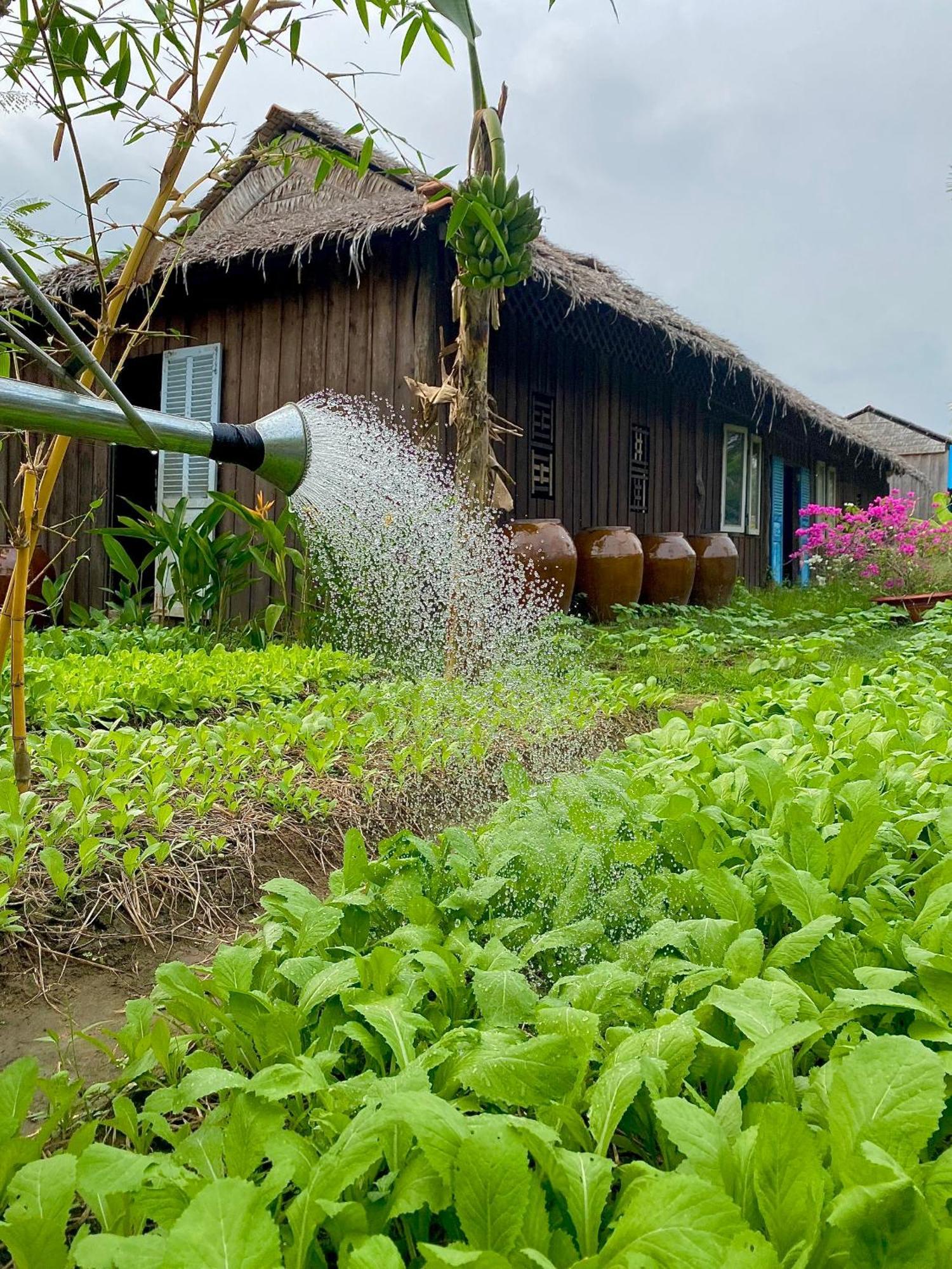 Mekong Silt Ecolodge Can Tho Exterior photo