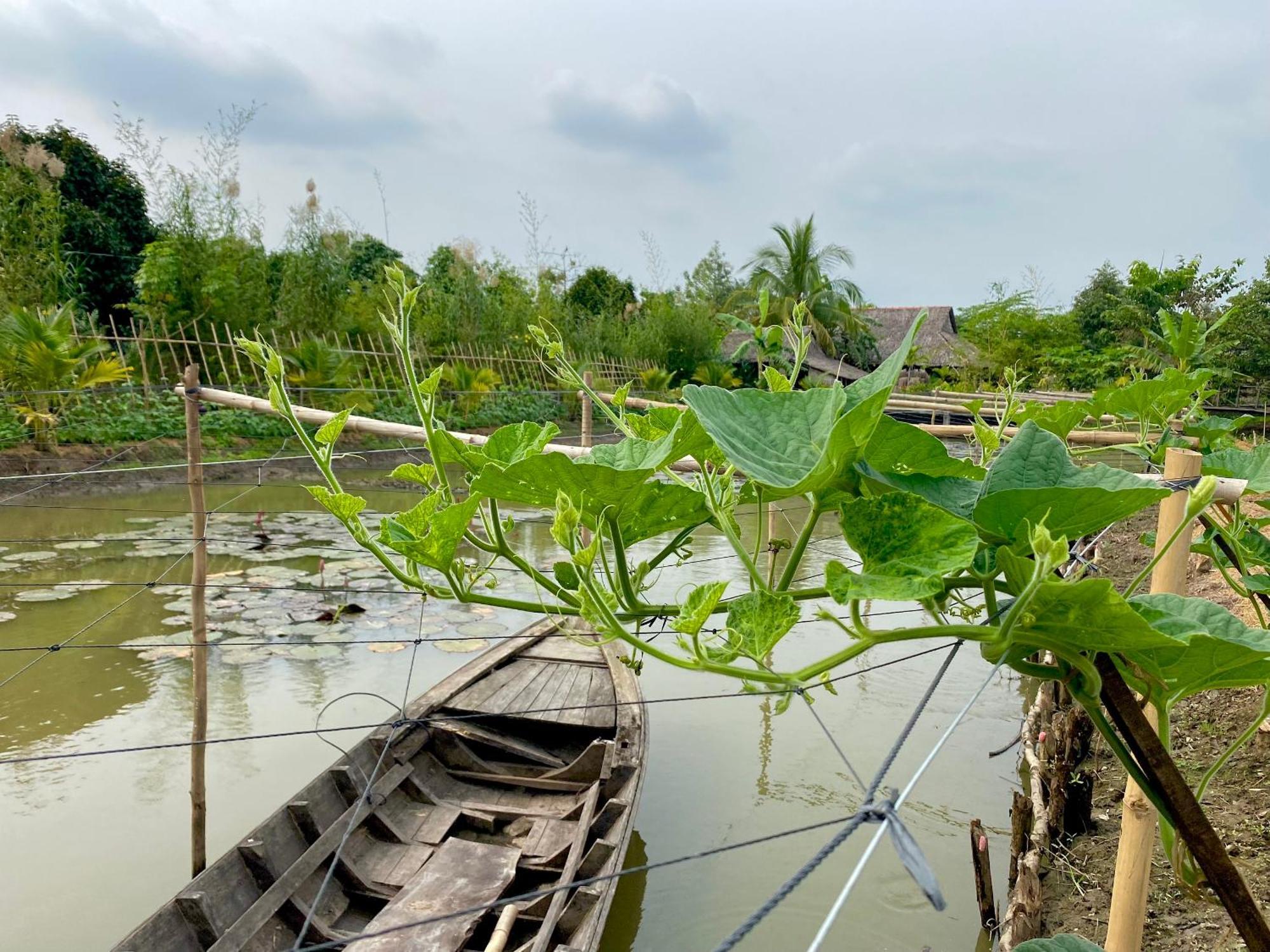 Mekong Silt Ecolodge Can Tho Exterior photo